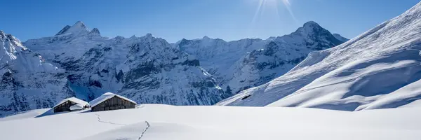 Swiss Christmas Holiday (Albatross Tours)