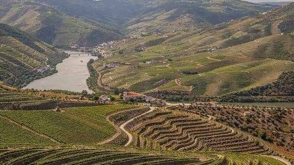Magical Douro Cruise (Indus)