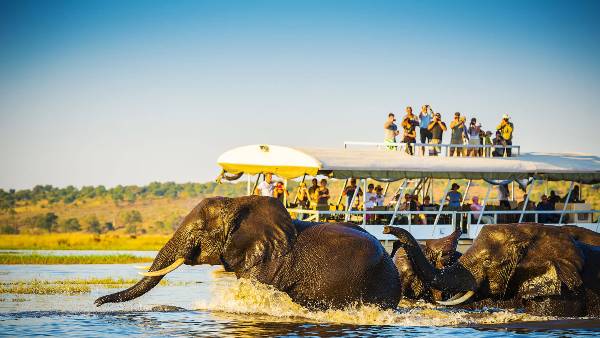 A Journey Through Botswana and Victoria Falls (Indus)