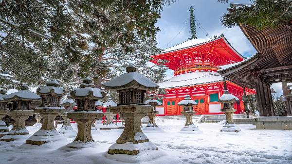 Highlights Of Korea and Japan (Indus)