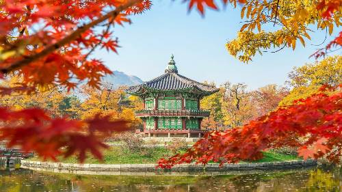Journey from Seoul to Kyoto (Indus)