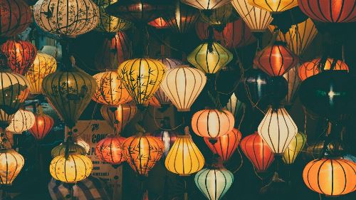 Picturesque Solo Vietnam Tour (Indus)