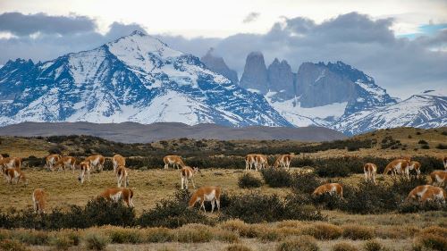 Picturesque Solo Chile Tour (Indus)