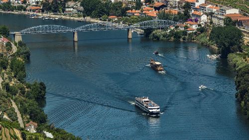 Majestic Douro Cruise (Indus)