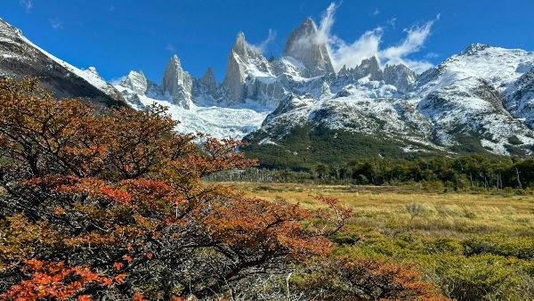Picturesque Solo Argentina And Brazil (Indus)