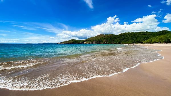 A Taste Of Costa Rica (Indus)