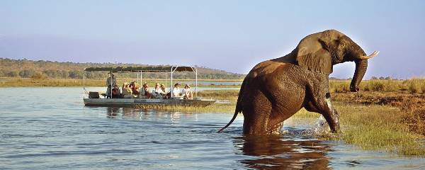 Romantic Falls & Chobe (Go2Africa)