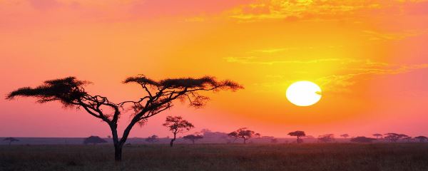 Tanzania Fly-In Tarangire, Karatu & Serengeti (Go2Africa)