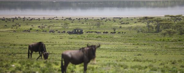 East Africa's Mara, Crater & Serengeti Migration Safari (Go2Africa)