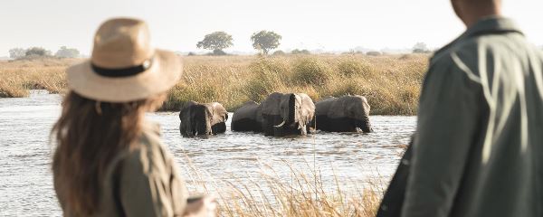 Luxury Eco Safari in Botswana (Go2Africa)