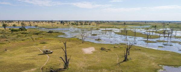 Botswana's Delta, Savute & Chobe (Go2Africa)