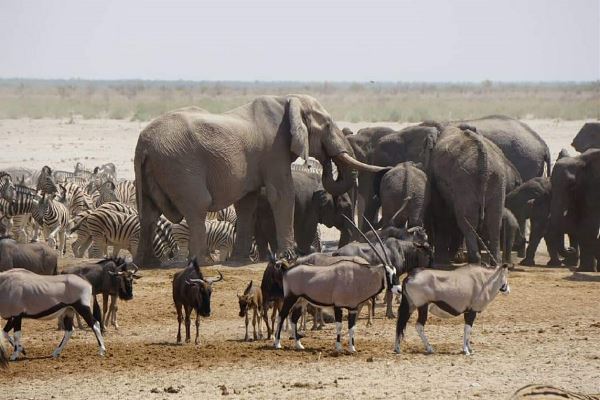 Victoria Falls To Cape Town Group Overland Tour (Madventure)