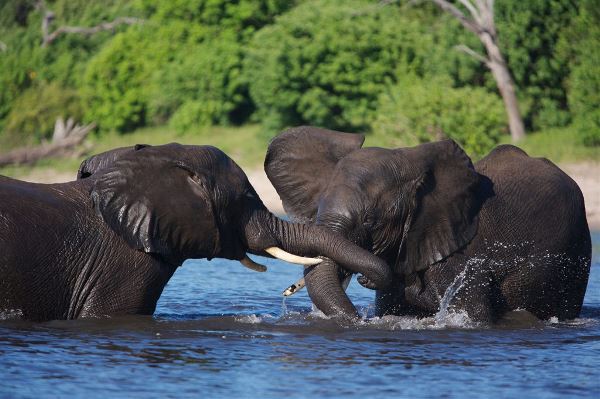 Victoria Falls To Zanzibar Group Overland Tour (Madventure)