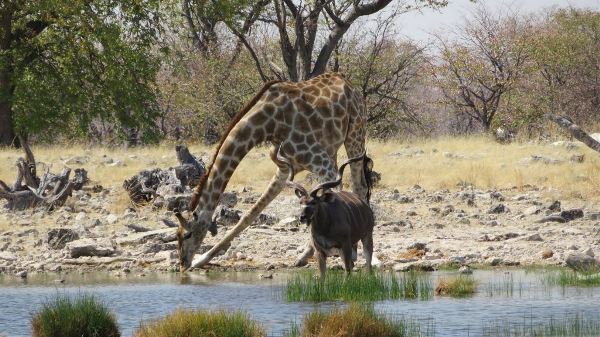 Zanzibar To Victoria Falls Overland Expedition (Dragoman)