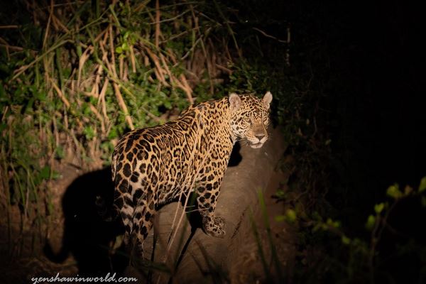 Cayenne To Cartagena Via The Guianas & Venezuela Overland Expedition (Dragoman)