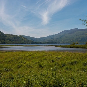 Irish Escape (Globus)