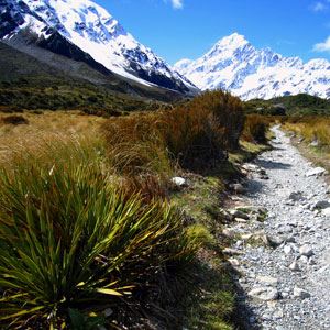 Spectacular Australia with the Historic Ghan Train (Globus)
