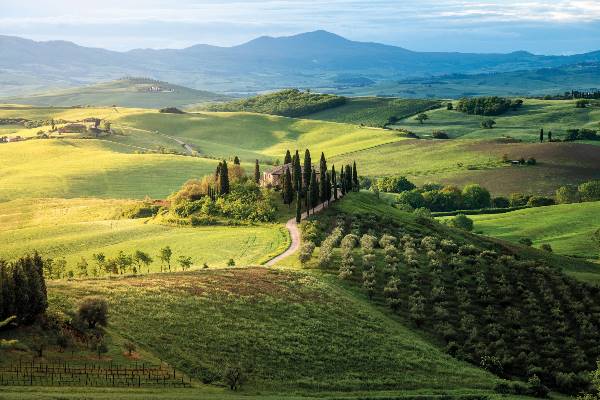 Country Roads of Italy (Insight Vacations)