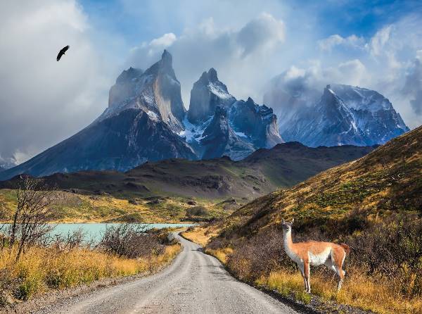 Best of Chile from Atacama to Patagonia (Insight Vacations)