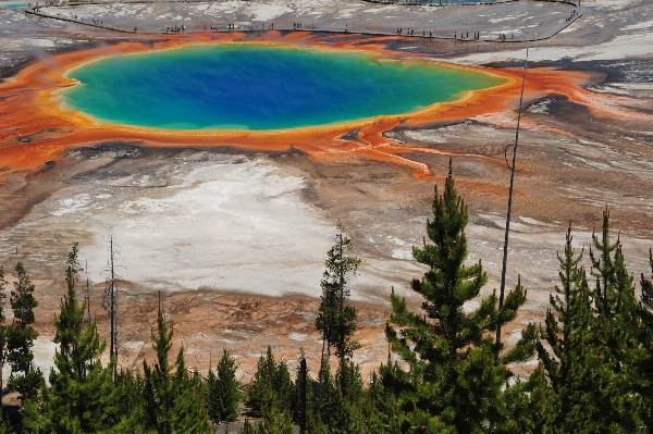 Yellowstone Discovery (Insight Vacations)