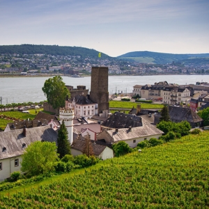 Swiss Splendors by Train with Romantic Rhine Cruise (Avalon)