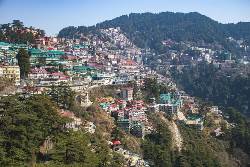 City: Shimla