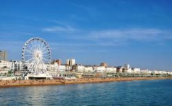 City: Brighton